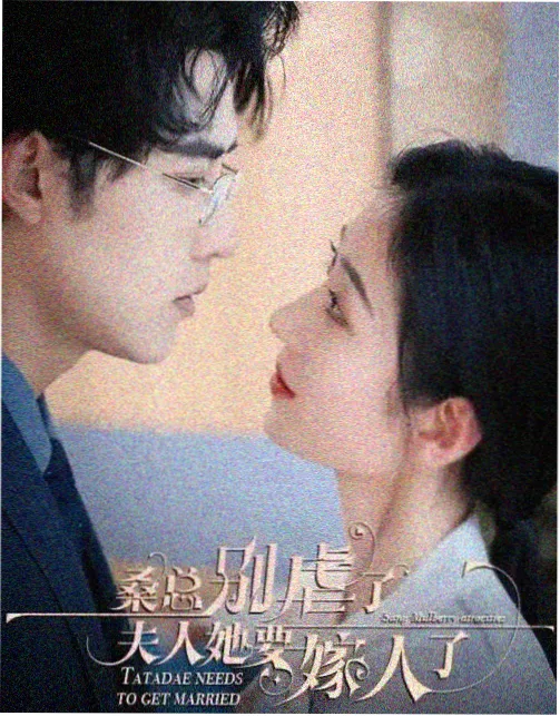 警匪剧集：扫黑风暴